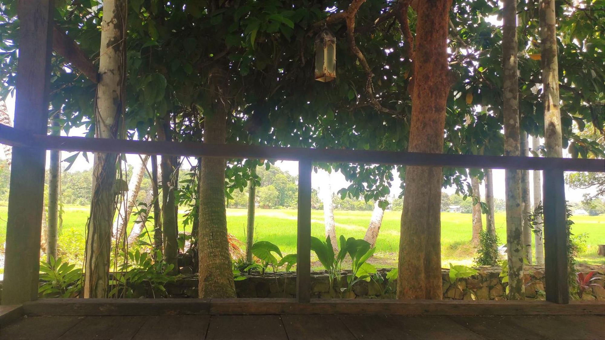 S'Ekar Pinang Langkawi Bed & Breakfast Pantai Cenang  Ngoại thất bức ảnh