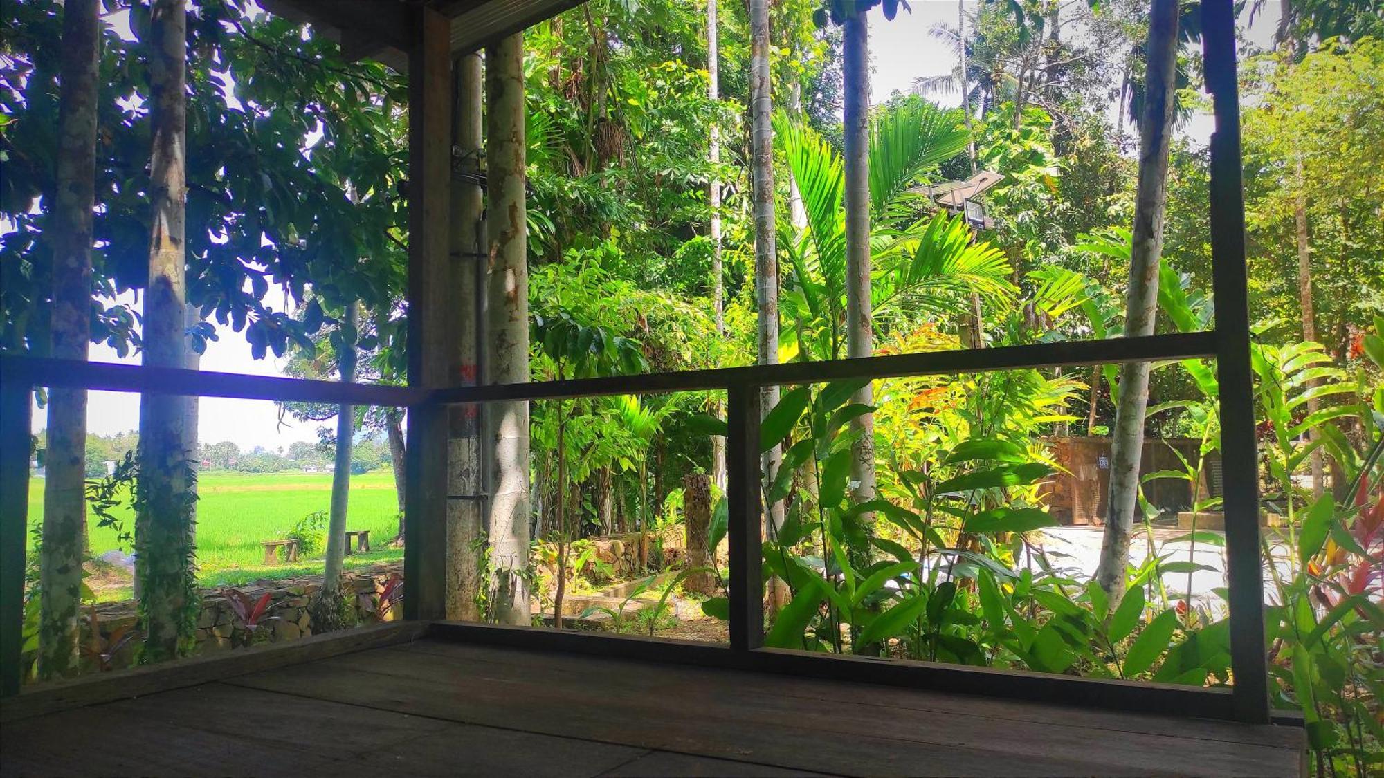 S'Ekar Pinang Langkawi Bed & Breakfast Pantai Cenang  Ngoại thất bức ảnh