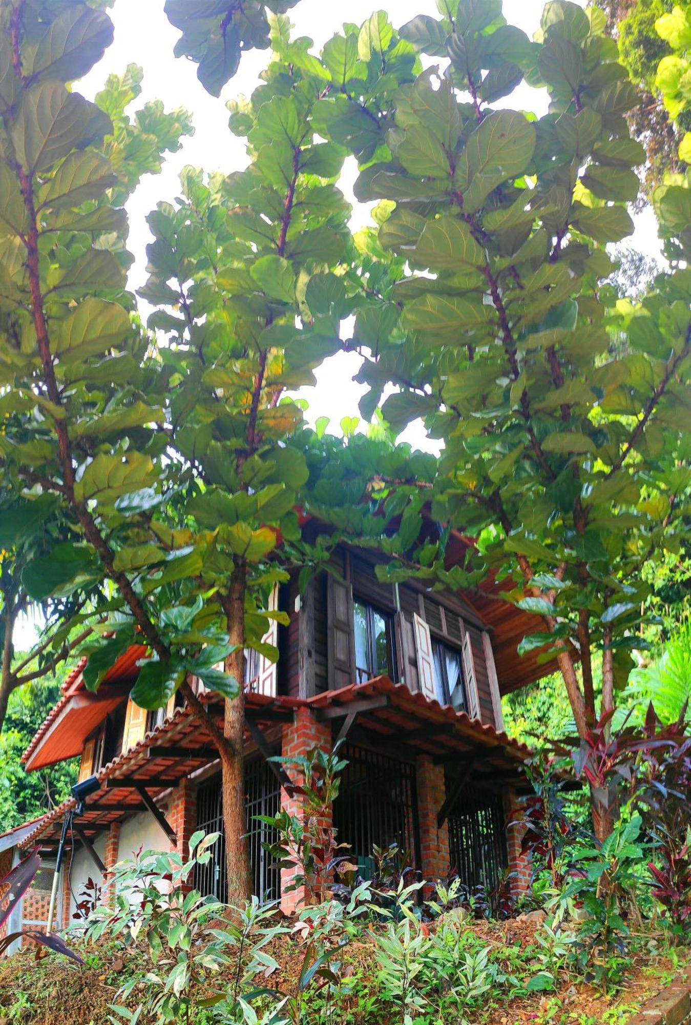 S'Ekar Pinang Langkawi Bed & Breakfast Pantai Cenang  Ngoại thất bức ảnh