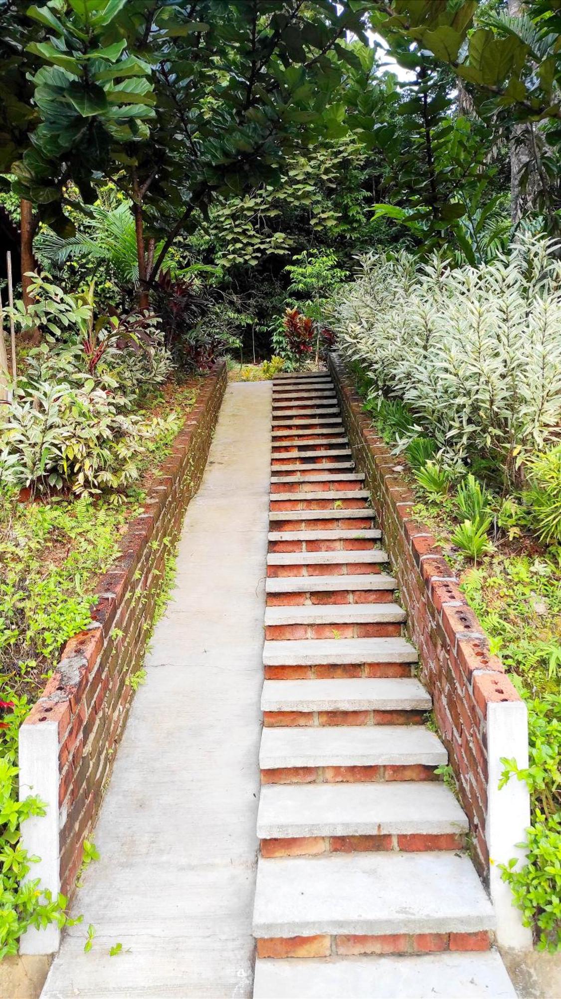 S'Ekar Pinang Langkawi Bed & Breakfast Pantai Cenang  Ngoại thất bức ảnh