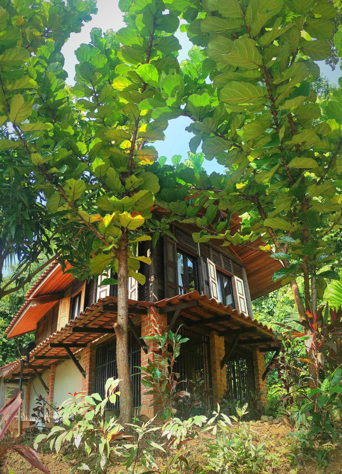 S'Ekar Pinang Langkawi Bed & Breakfast Pantai Cenang  Ngoại thất bức ảnh