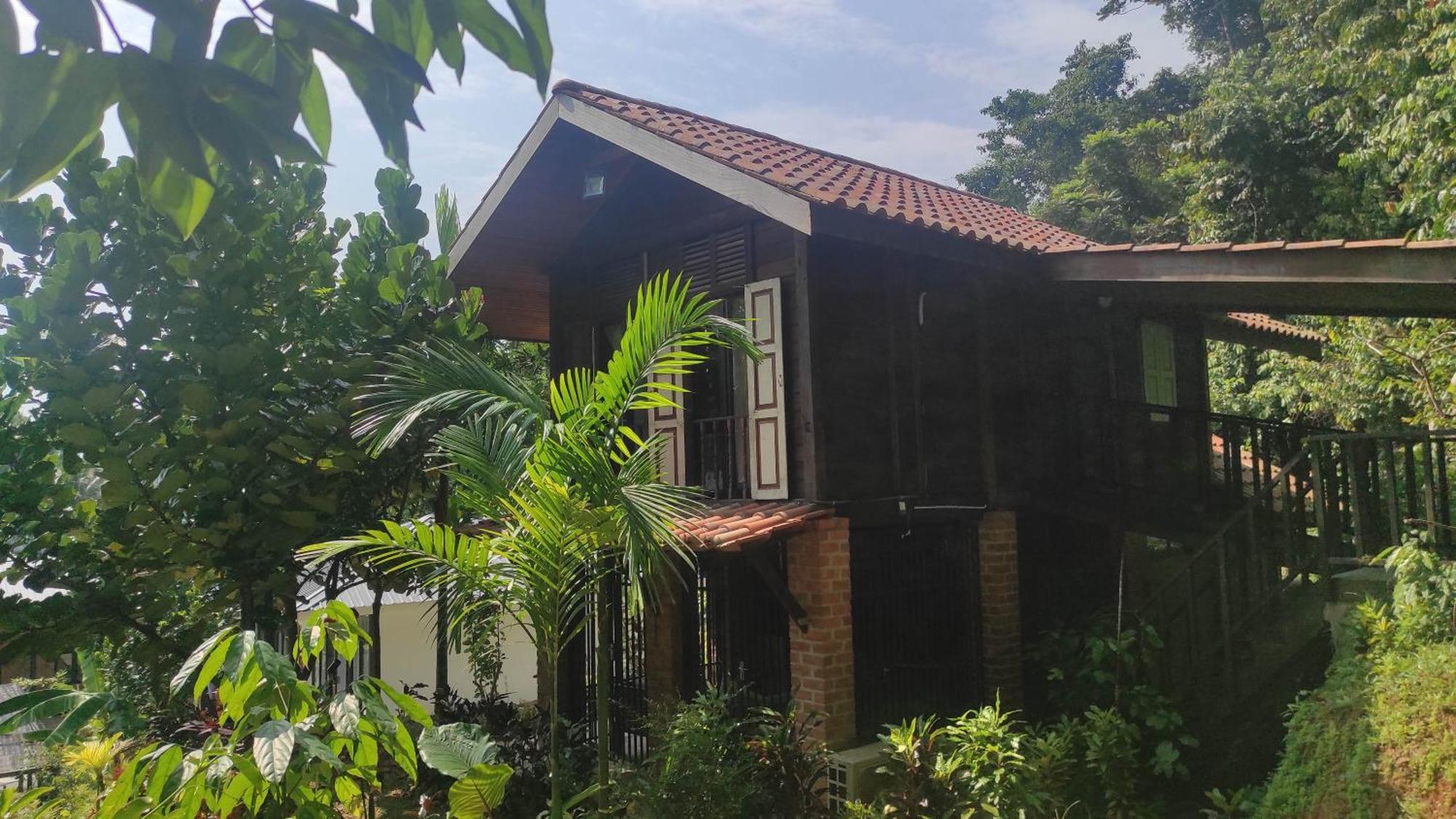 S'Ekar Pinang Langkawi Bed & Breakfast Pantai Cenang  Ngoại thất bức ảnh